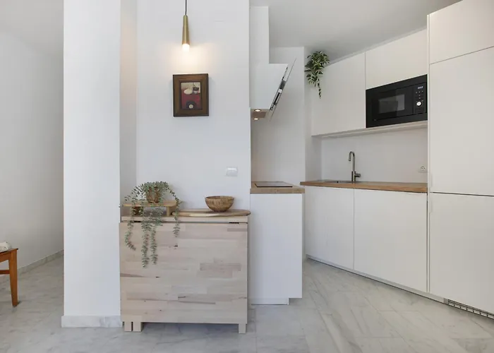 Apartment Plata Atico